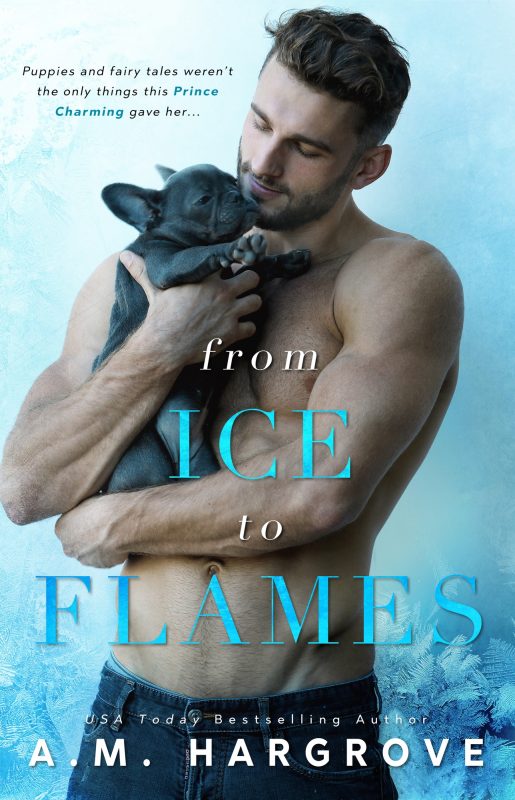 From Ice To Flames ( A West Brothers Novel)