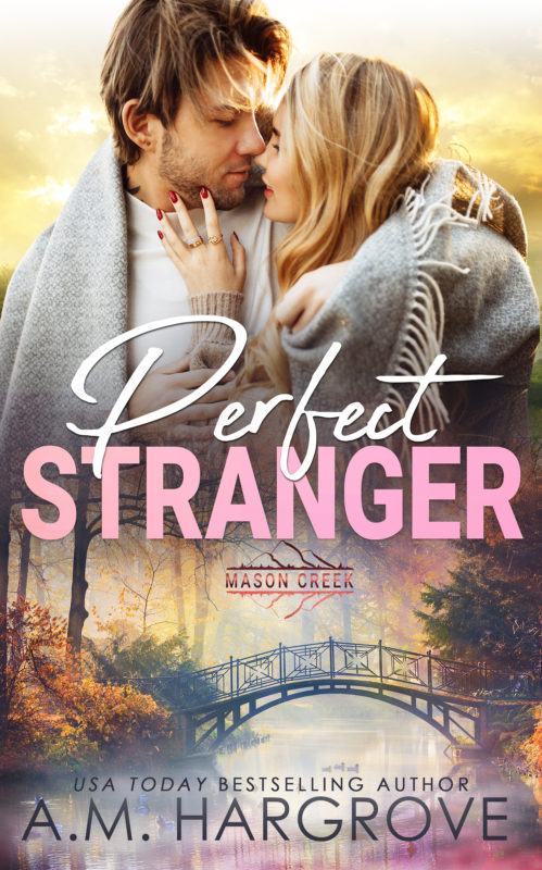 Perfect Stranger (Mason Creek #17)